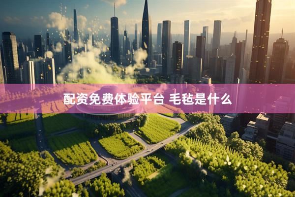 配资免费体验平台 毛毡是什么