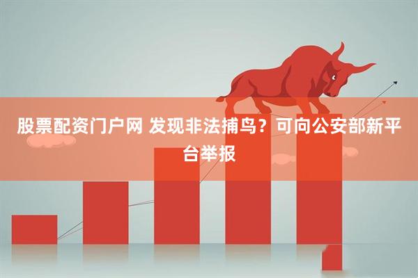 股票配资门户网 发现非法捕鸟？可向公安部新平台举报