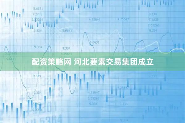 配资策略网 河北要素交易集团成立
